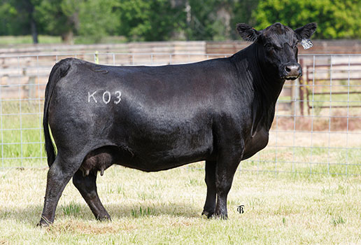 C-4 Natural Rose J659 (K03): AAA#20394350