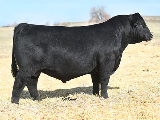 W Sunrise Executive Law 507H: AAA#19940954